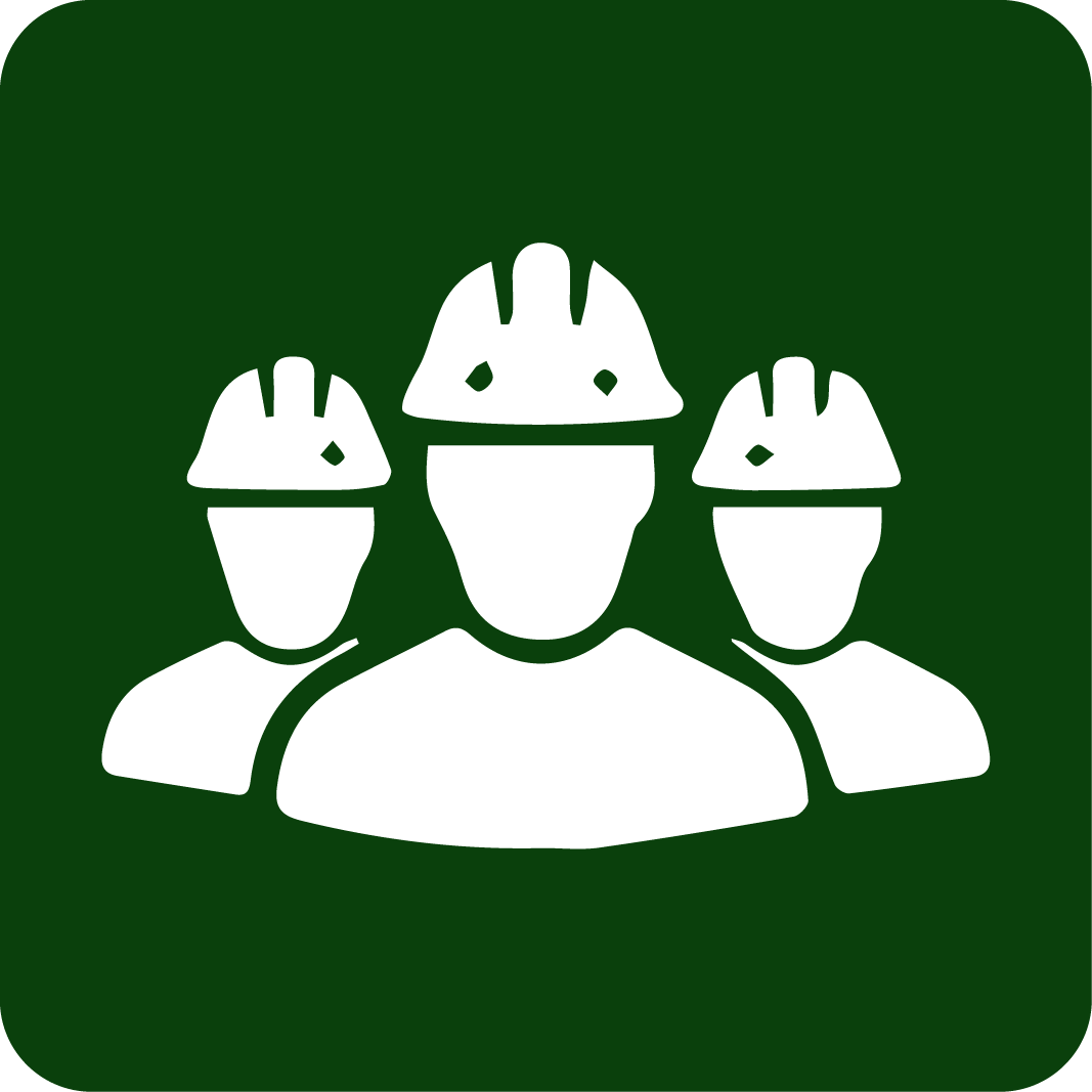 Skilled Expert Team